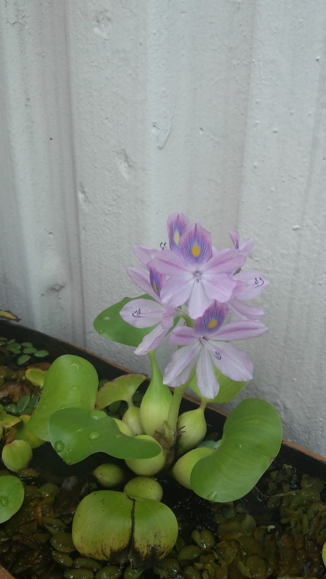 20150903_095959_HDR.jpg