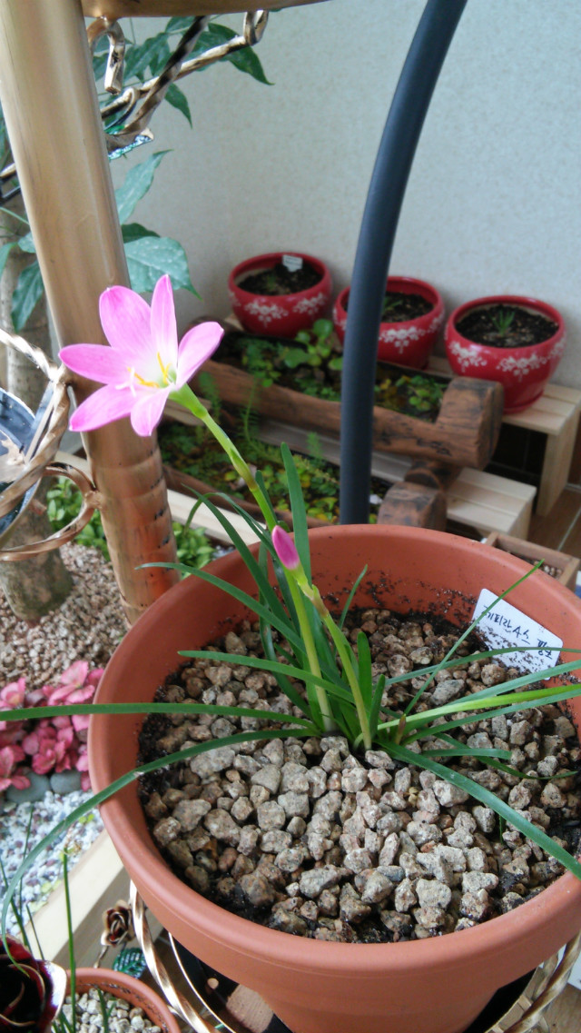20150930_160416_HDR.jpg