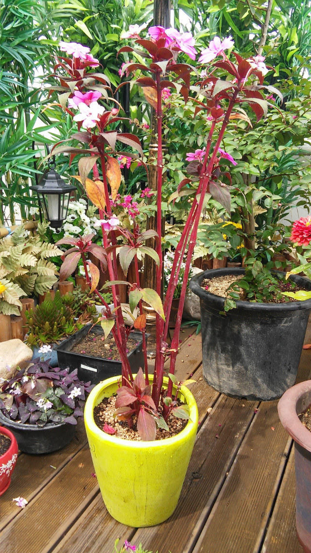 20150924_130746_HDR.jpg