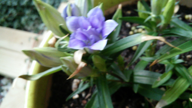 20151003_161222_HDR.jpg