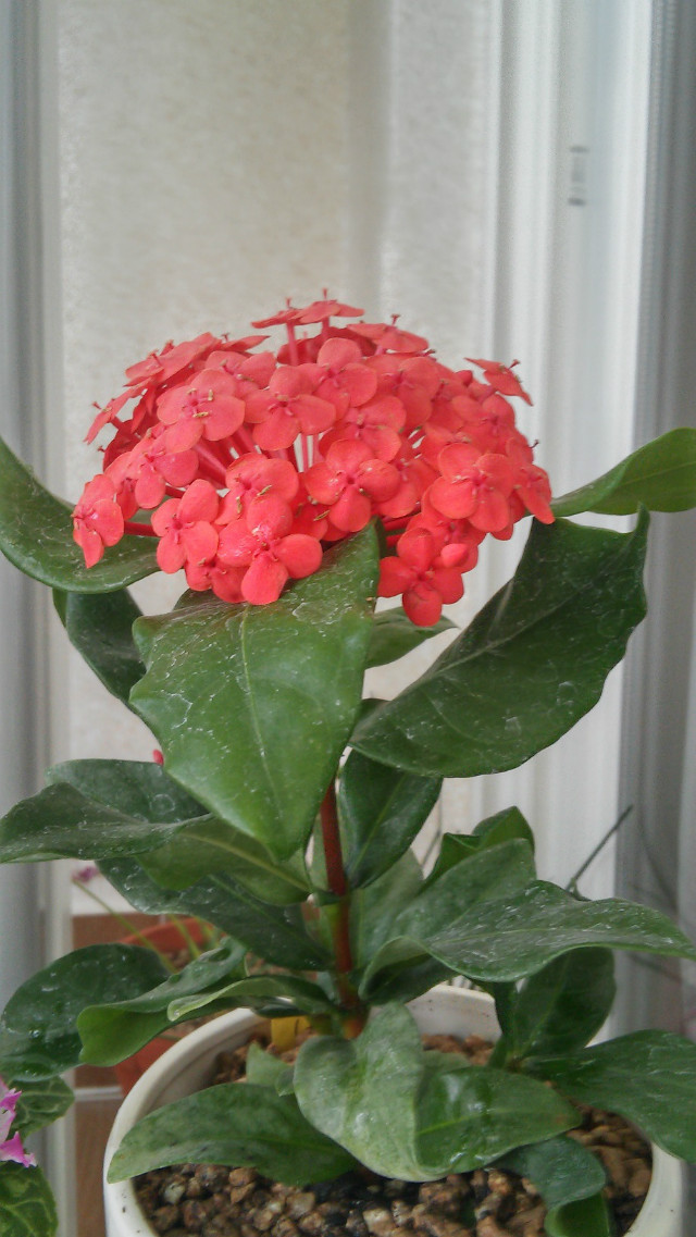 20151008_160550_HDR.jpg