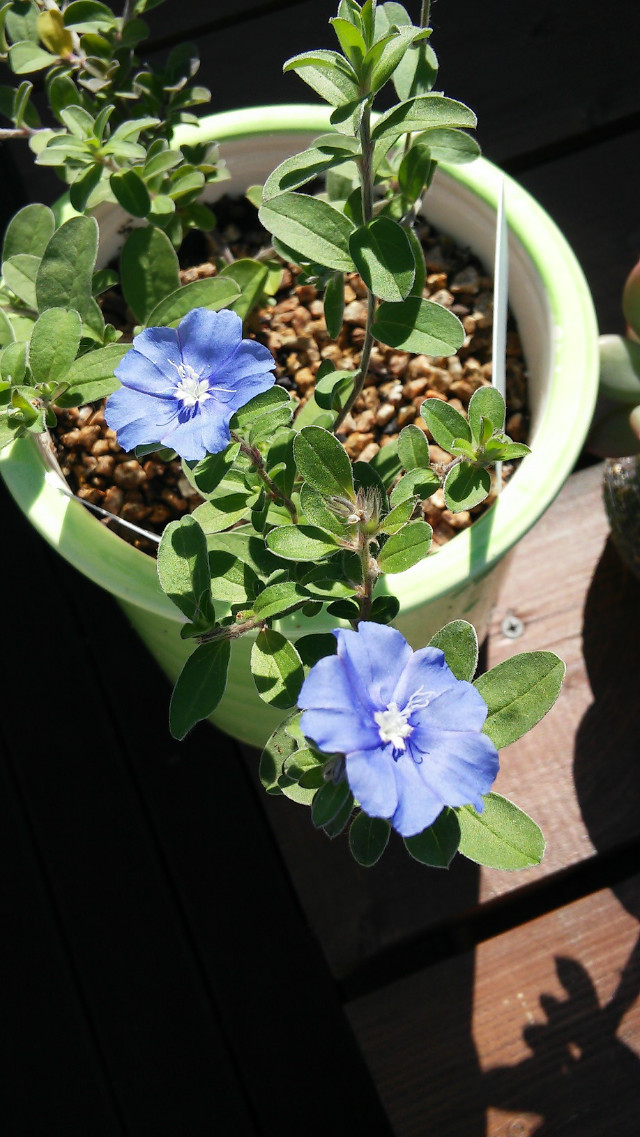20151009_134452_HDR.jpg