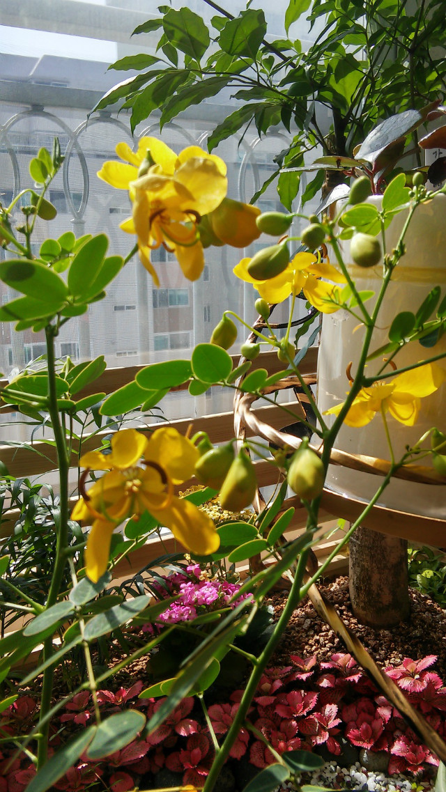 20151015_121939_HDR.jpg