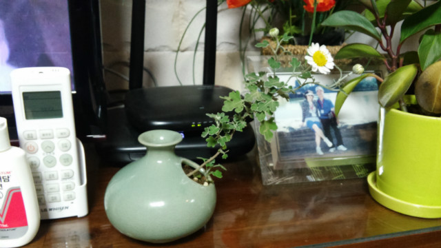 20151019_210750_HDR.jpg