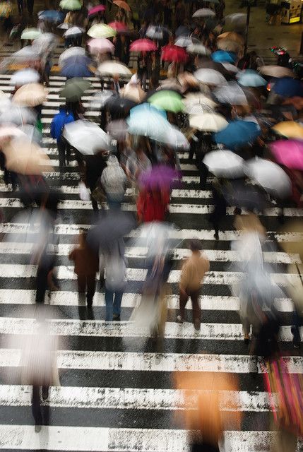 2040574231_sfmUN749_790426c28646064eaa1fc59bc7890a96.jpg