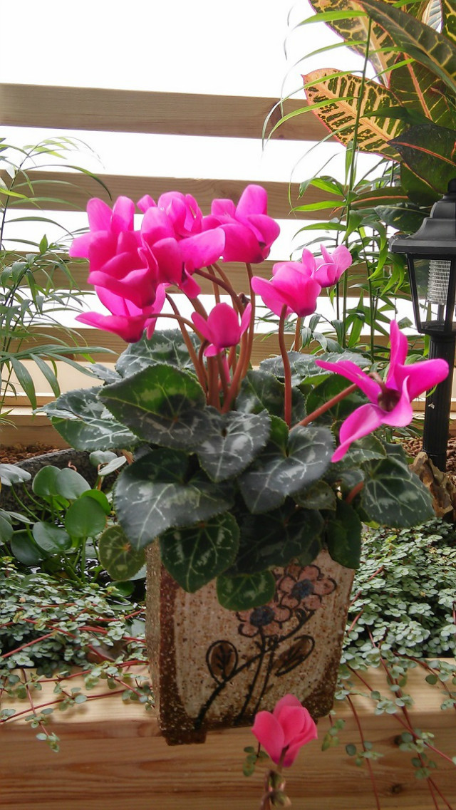 20151007_091202_HDR.jpg