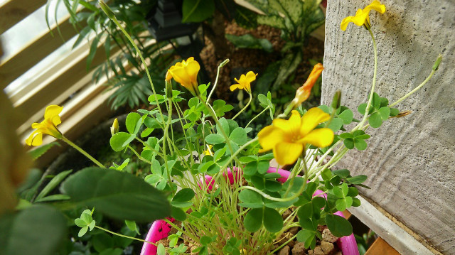 20151016_114026_HDR.jpg