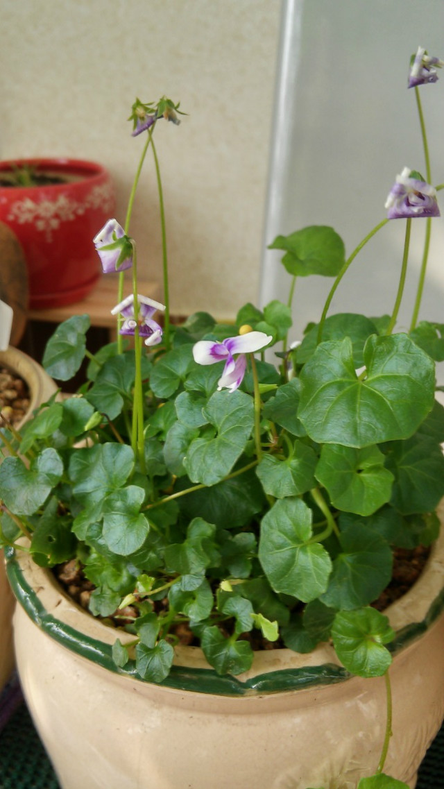 20151016_114037_HDR.jpg