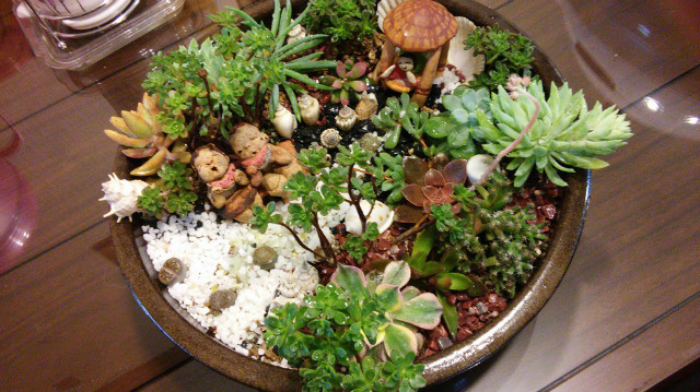 20151108_105314_HDR.jpg