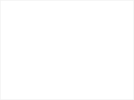 bg_bd.png