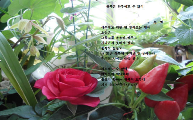 하루에도 2016-09-23 19-59-24-414.jpg