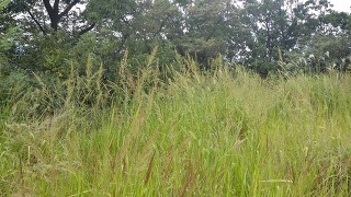20160828_114350[1].jpg