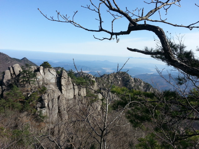 20161120_125620tt.jpg