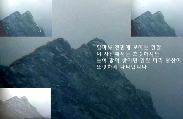 말2.jpg