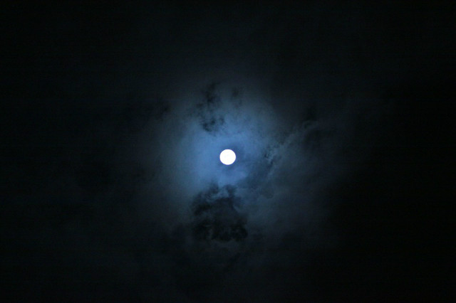 IMG_6652.JPG