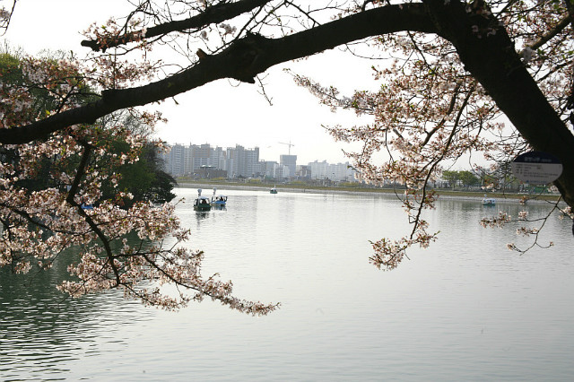 수1_MG_0040[1].jpg