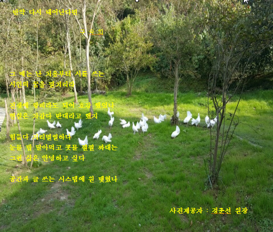 제일 2017-04-21 13-11-56-209.jpg