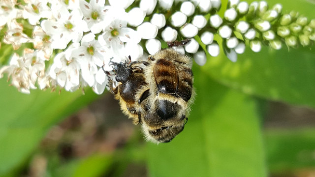 20160625_104608.jpg