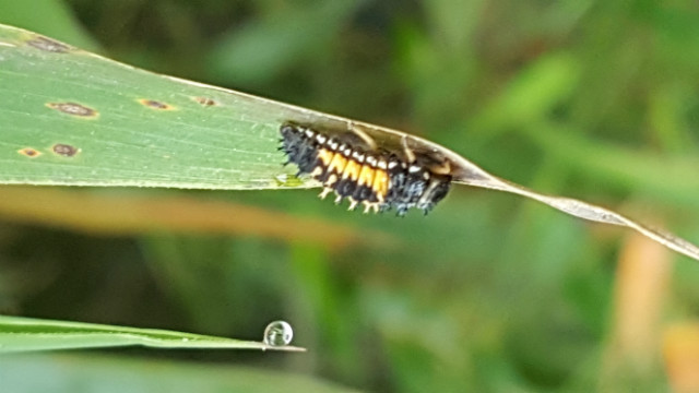 20160526_060528.jpg