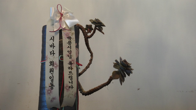 DSCN1178.JPG