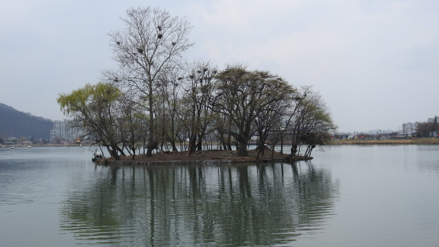 DSCN1205.JPG