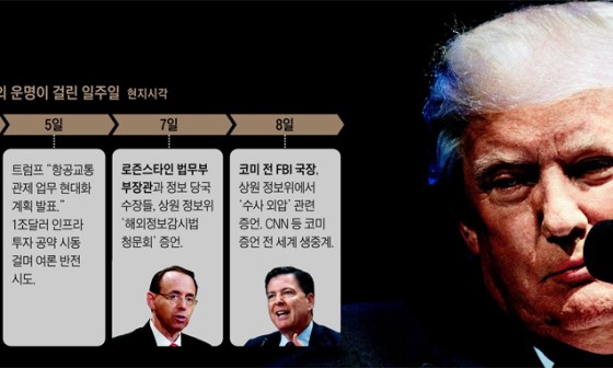 코미1.jpg