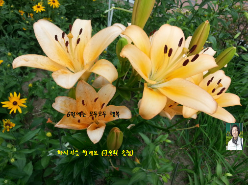 6월에는 2017-06-01 11 나-사쥔.jpg