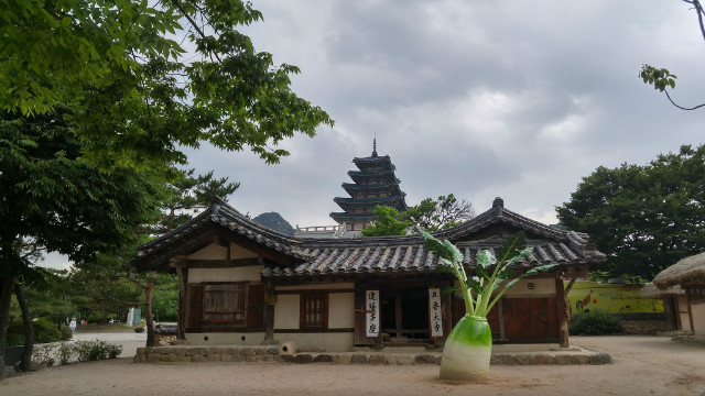 20170626_164331_HDR (1).jpg