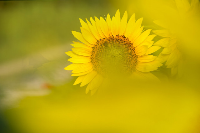 DSC_0811-1.jpg