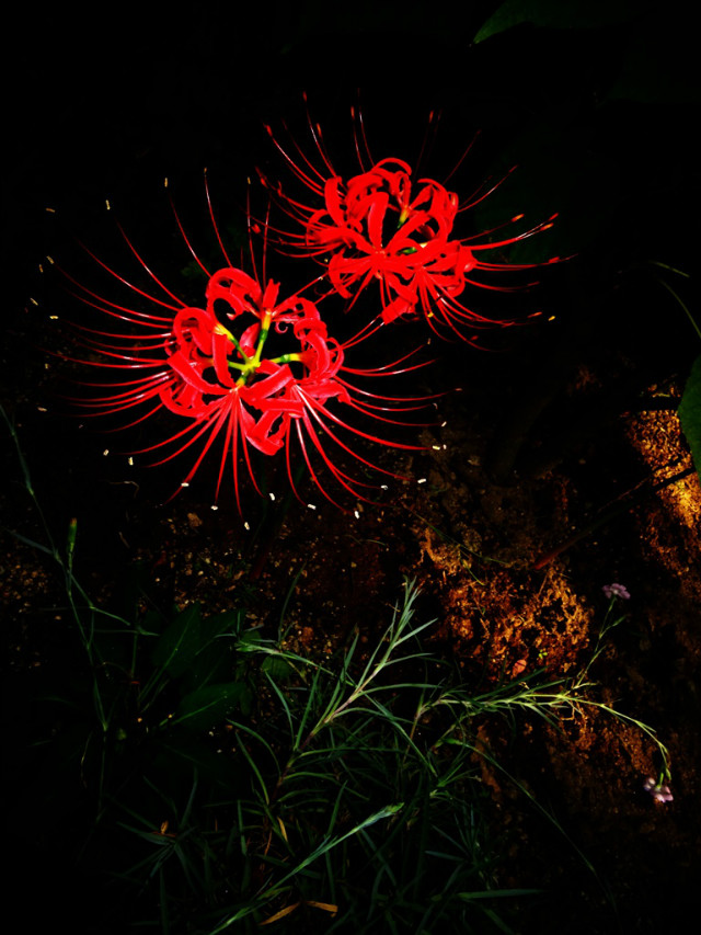 0920170914 153949 1849.jpg