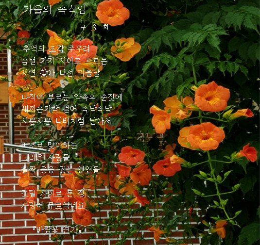 가을의 속삭임20170904.jpg