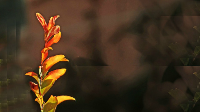 1020171023 144939 0139.jpg