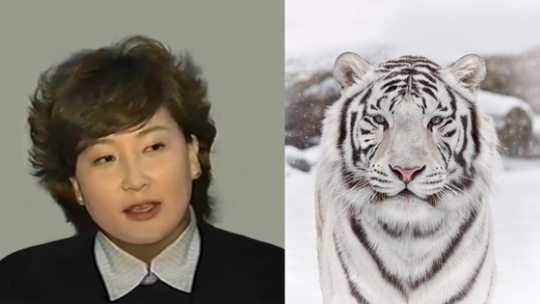 백호상jpg.jpg