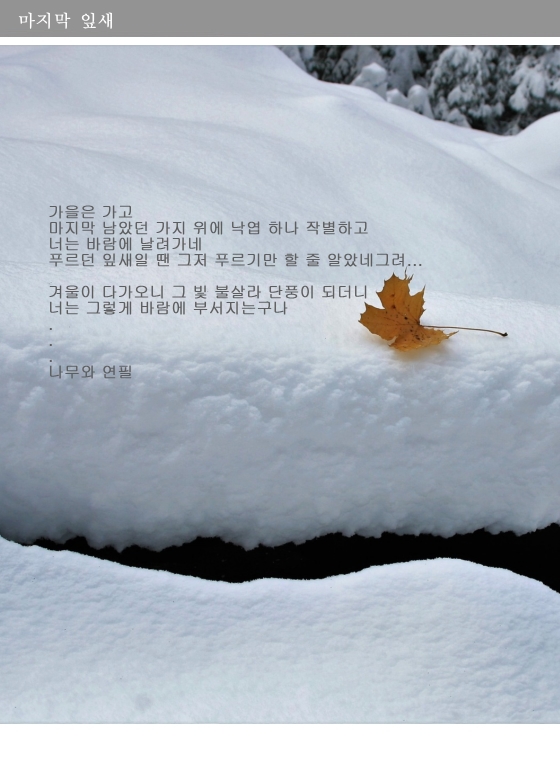마지막 잎새-나무와연필2.jpg