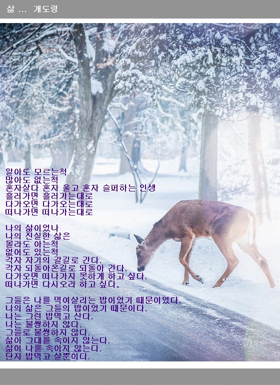 삶-개도령.jpg