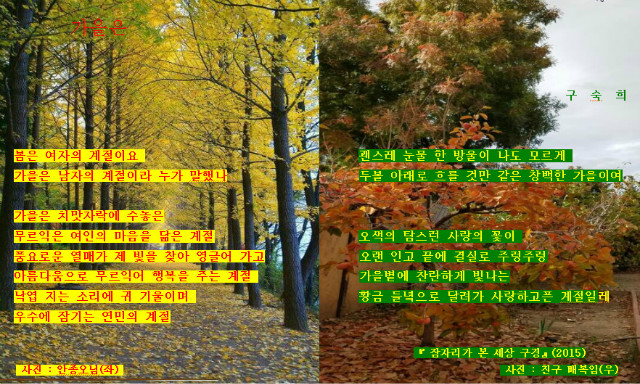 가을은 2017-11-15 12-49-38-545.jpg