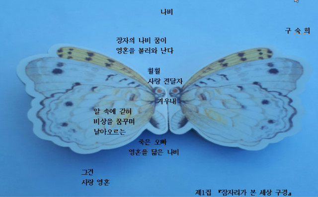 나비시 2017-11-29 12-02-40-288.jpg