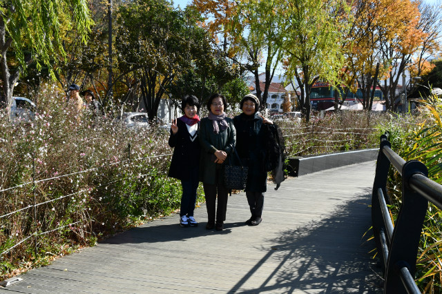 DSC_0067.JPG