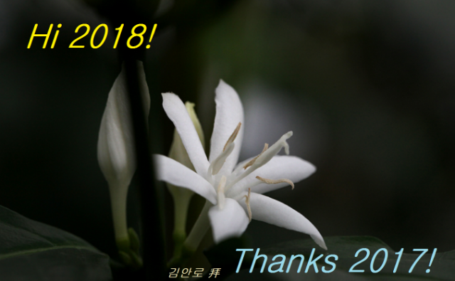 커피6 - 복사본.png