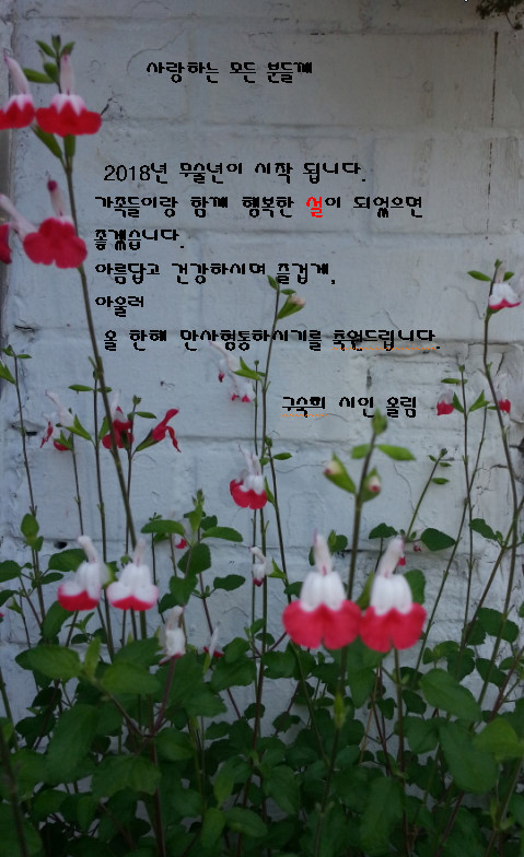 2018 설인사 2018-02-10 17-08-59-169.jpg