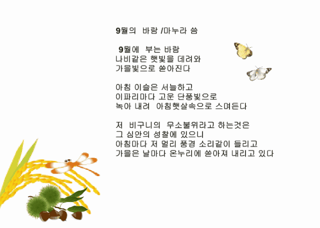 Movie19월의 바람1.gif