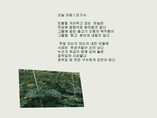 Movie1오늘 아침2.gif