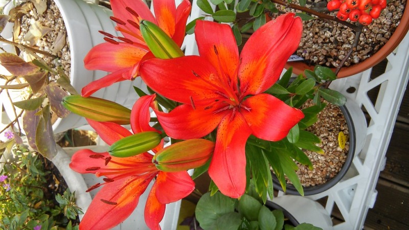 20151018_125353_HDR.jpg