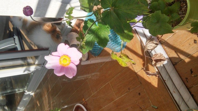 20151030_103016_HDR.jpg