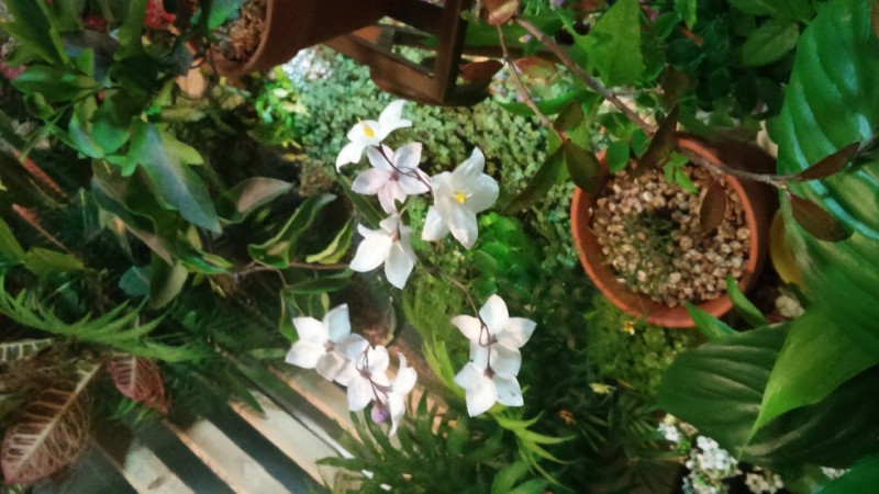 20151103_213649_HDR.jpg
