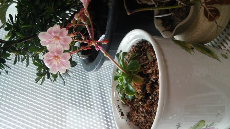 20151120_102229_HDR.jpg