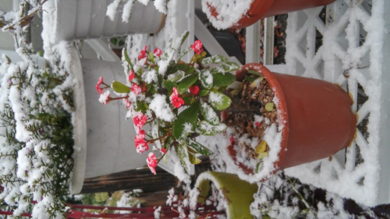 20151126_092131_HDR.jpg