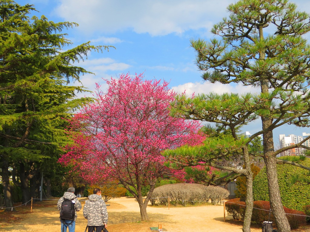 평화공원에서