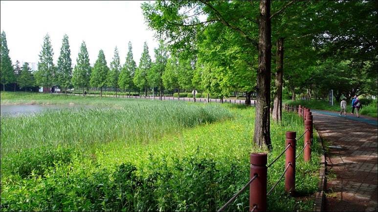 2025. 5. 13. 안산호수공원 정경