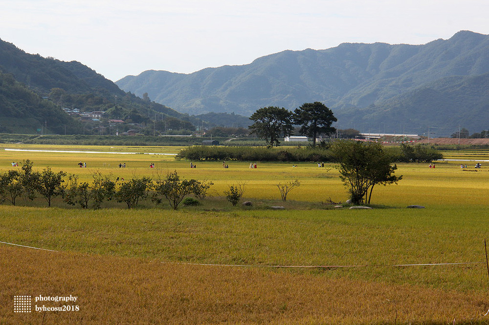 파일 설명을 입력해주세요.